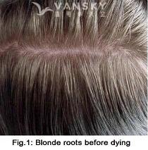 240910163304_Hair-Before Dying-s.jpg